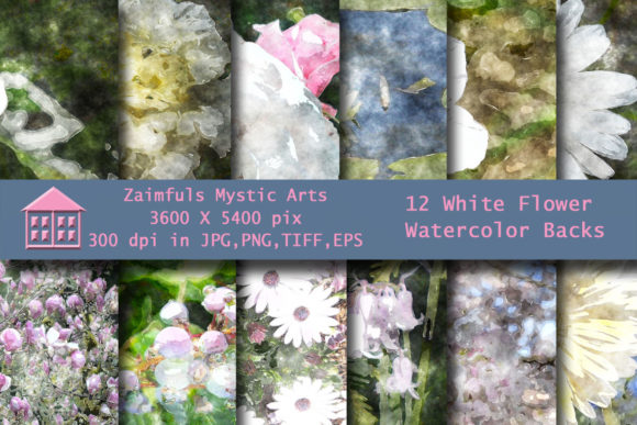 12 White Watercolor Flower Backs and Illustrations