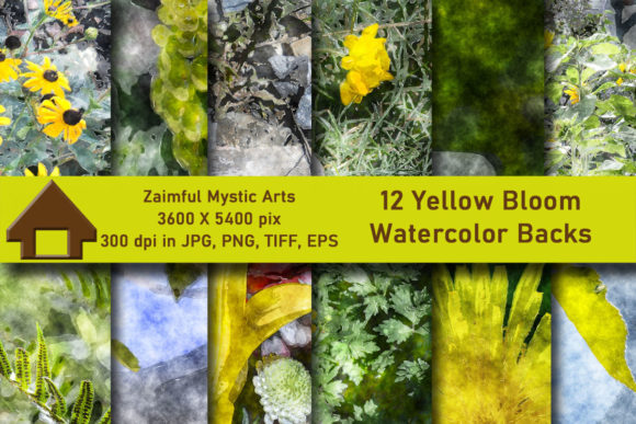 12 Yellow Bloom Watercolor Backs & Illustrations