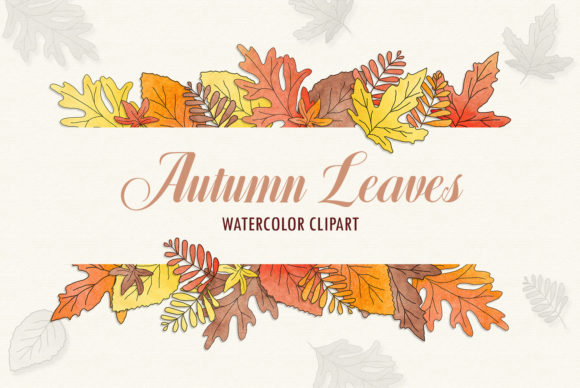 Autumn Leaves - Watercolor Clipart