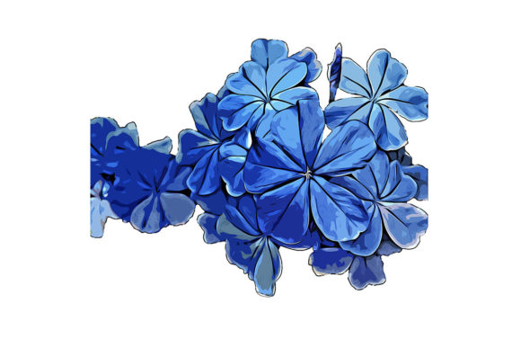 Blue Flowers Watercolor Drawing Illustrations