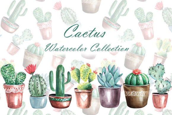 Cacti Watercolor Clipart. Houseplants. Illustrations