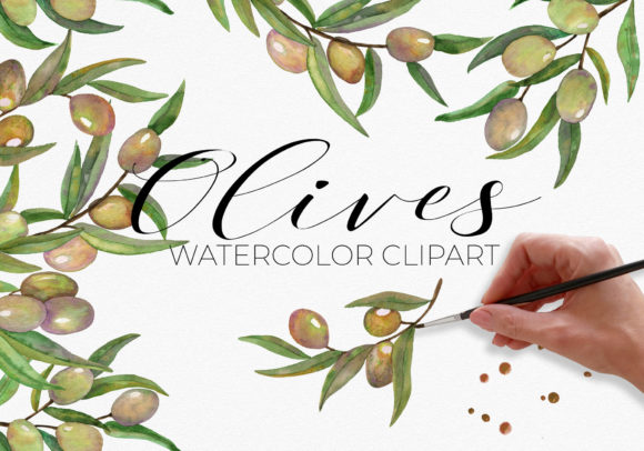 Green Olive Branches Watercolor Graphics