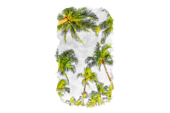 Green Palm Trees Watercolor Illustrations