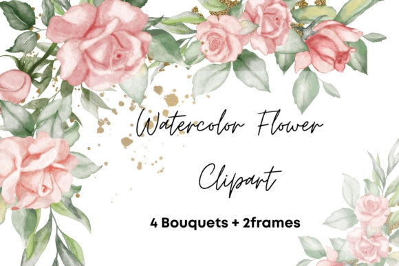 Pink Rose Watercolor Flower Clipart and Illustrations
