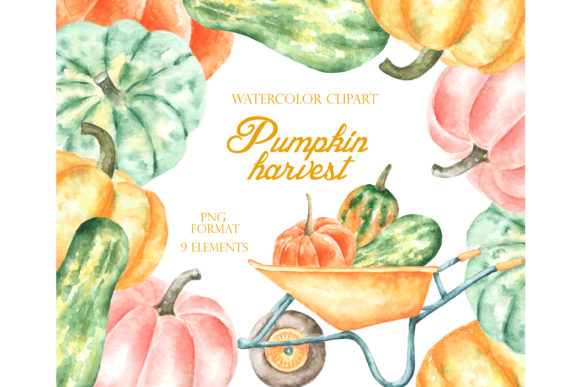 Pumpkin Watercolor Clipart. Thanksgiving Illustrations
