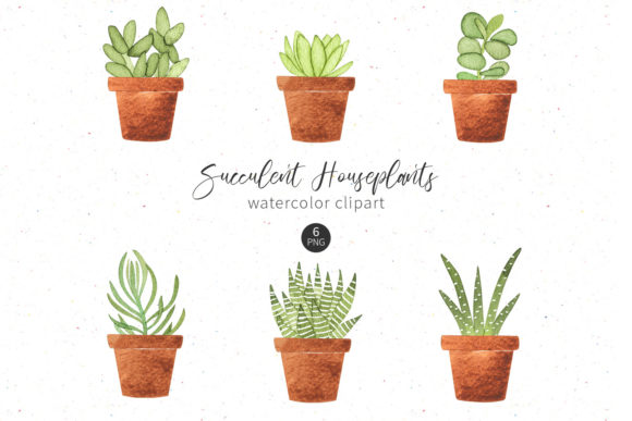 Succulent Houseplants Watercolor Clipart and Illustrations