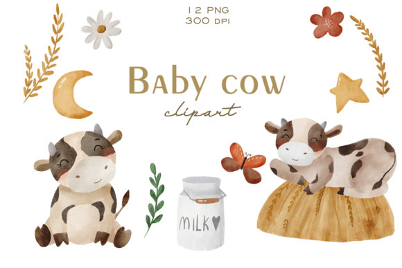 Watercolor Baby Cow Clipart PNG and Illustrations