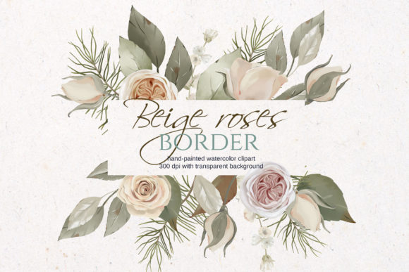 Watercolor Beige Roses Border Illustrations