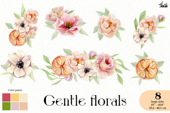 Watercolor Blush Flowers Clipart Png Illustrations