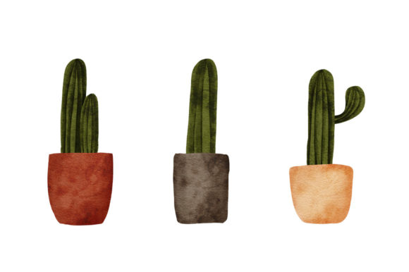 Watercolor Cactus House Plant Painting Illustrations