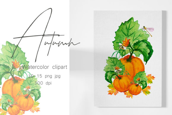 Watercolor Clipart Autumn.Pumpkin and Illustrations