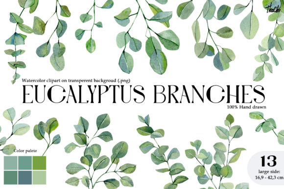 Watercolor Eucalyptus Branch Illustrations