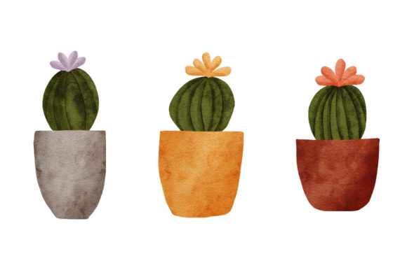 Watercolor Illustration Cactus on Pot