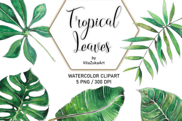 Watercolor Palm Leaves Illustrations