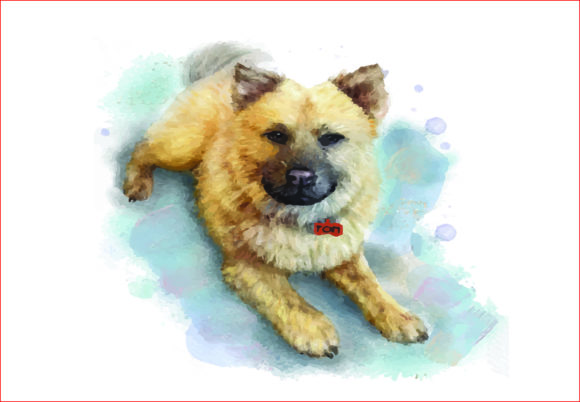 Watercolor Puppy PNG, Sublimation Illustrations