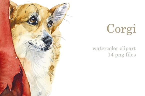 Watercolor Set Corgi