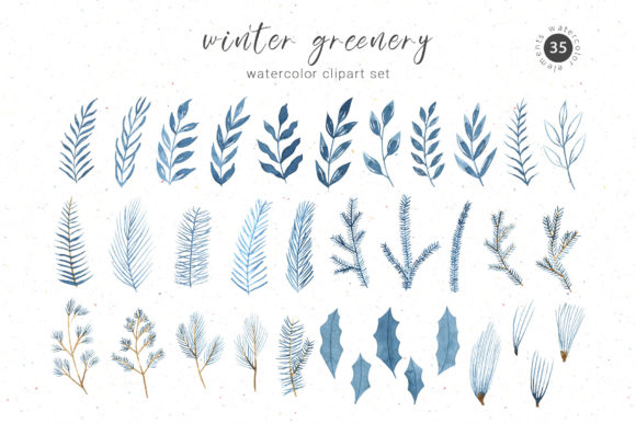 Watercolor Winter Blue Botanical Clipart and Illustrations